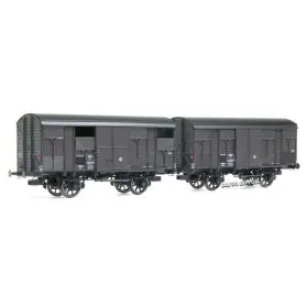 2x Primeurs ex-couverts 20T, SNCF Ep.IIIb - HO 1/87 - REE WB-739