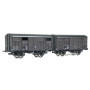 2x Primeurs ex-couverts 20T, SNCF Ep.IIIb - HO 1/87 - REE WB-739