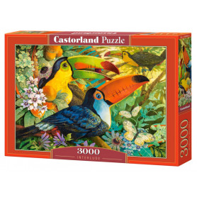 Interlude - Puzzle 3000 pièces - CASTORLAND