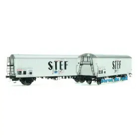 Coffret de 2 wagons lbes STEF SNCF ép. IV - HO 1/87 - LS Models 30224