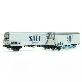 Coffret de 2 wagons Hl STEF SNCF ép. III - HO 1/87 - LS Models 30235