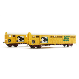 Set 2 wagons GASS FRET / Cheval - jaunes SNCF époque IV - HO - LS Models 30086