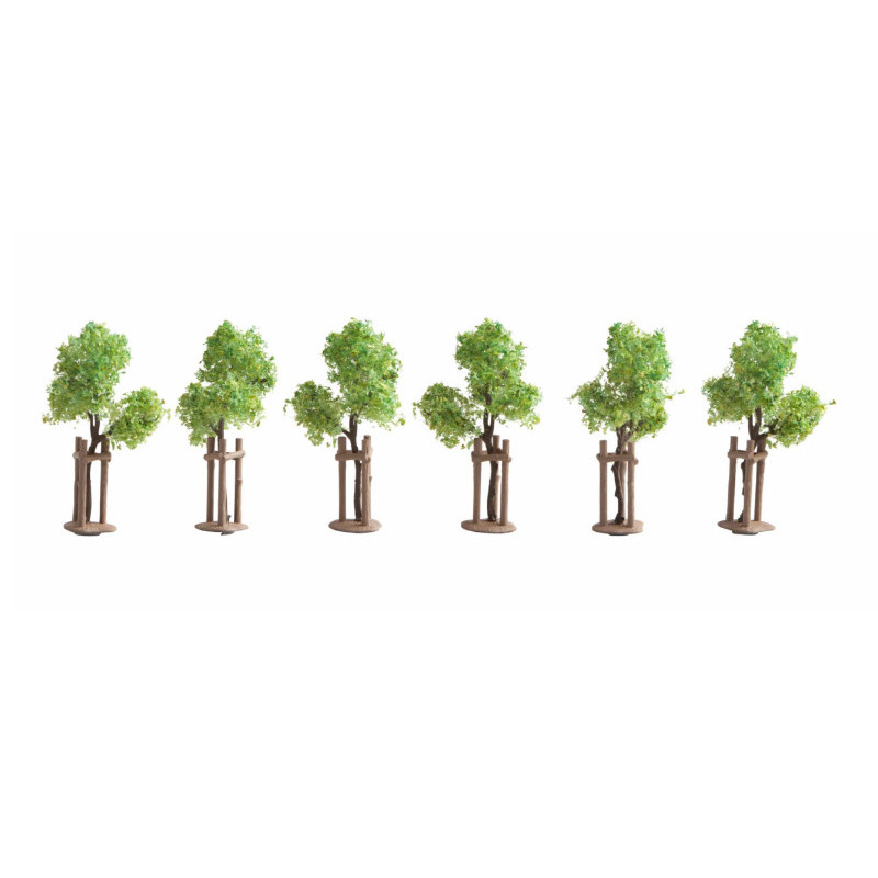 Commande jeunes arbres Variegata personnalisé - Sur Mesure - Green and