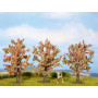 Arbres fruitiers - HO 1/87 - NOCH 25112