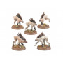 Chiens Kroots : Empire T'au - Warhammer 40000
