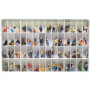 Mega Set 100 personnages - HO 1/87 - PREISER 13002