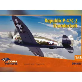Republic P-47 Thunderbolt - 1/48 - DORA WINGS 48055