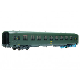 Voiture DEV AO B9c9 N° 51 87 59-37 131-4 Vert 301, logo encadré Ep.IV - HO 1/87 - REE VB-406