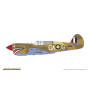 P-40E Warhawk Week-end Edition - 1/48 - EDUARD 84207