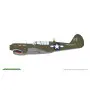 P-40N Warhawk Profipack - 1/48 - EDUARD 82242