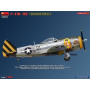 P-47N-1RE Coup de tonnerre. Kit avancé - 1/48 - MINIART 48062