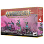 Régiment de Renom: Prospecteurs d'Argent Disciples of Tzeentch - Warhammer Age Of Sigmar 83-108