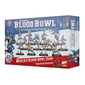 Équipe Blood Bowl de Hauts Elfes: Les Caledor Dragons 202-62