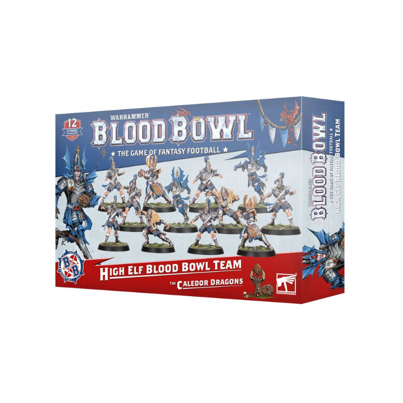 Équipe Blood Bowl de Hauts Elfes: Les Caledor Dragons 202-62