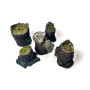 Petites souches - 1/35 - VALLEJO SC306
