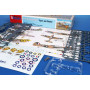 Chasseur P-40E Warhawk «&nbsp;Tigres et Requins&nbsp;» - 1/72 - SPECIAL HOBBY 100-SH72529