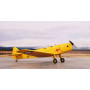 DH.94 Moth Minor « Sous la Croix du Sud » - 1/72 - SPECIAL HOBBY 100-SH72494