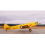 DH.94 Moth Minor « Sous la Croix du Sud » - 1/72 - SPECIAL HOBBY 100-SH72494