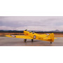 DH.94 Moth Minor « Sous la Croix du Sud » - 1/72 - SPECIAL HOBBY 100-SH72494