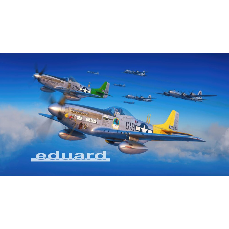 P-51D Mustang 2 avions édition limitée - 1/72 - EDUARD 2152