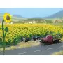 Champ de tournesols (x60) échelle HO - BUSCH 6003