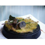 Canon 3,7 cm KPUV vz.37 (3,7 cm PAK 37(t) - 1/35 - SPECIAL HOBBY 100-SA35001